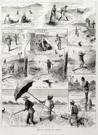 British hunters in India. A light-hearted illustration taken from 'The Graphic' newspaper depicts British hunters searching for quarry in the Indian countryside. Scenes include a British hunter in pursuit of tigers but finding only rabbits, and an Indian servant shading his master with a parasol. India, 1882. India, Southern Asia, Asia.