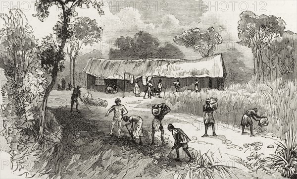 The African Lakes Company halting station. An illustration taken from a page of 'The Graphic' newspaper depicts a group of Malawian workers digging a road, under the supervision of a British overseer, at the African Lake Company's halting station. The company was established in 1878 to provide supplies and services to missionaries based in the area. Mbame, Nyasaland (Malawi), circa 1889. Mbame, Blantyre, Malawi, Southern Africa, Africa.