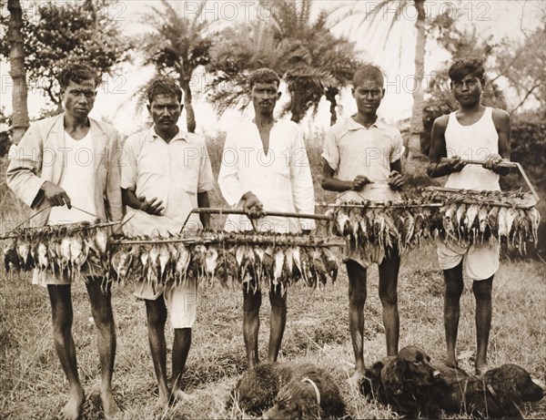 Displaying trophies from a snipe hunt. Five Indian servants, possibly 'shikaris' (traditional hunters), stand side-by-side, displaying the trophies of a recent snipe hunt for the camera. The dead birds, which would have been shot for leisure by British hunters, hang by their necks from wooden racks. Dadpur, Barisal Division, India (Bangladesh), 18 September 1938. Dadpur, Barisal, Bangladesh, Southern Asia, Asia.