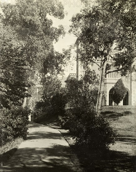 In the grounds of Government House, Perth. A tree-lined pathway in the gardens of Perth's Government House partially obscures a view of the building itself. Perth, Australia, 1901. Perth, West Australia, Australia, Australia, Oceania.