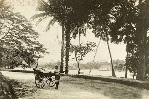 A rickshaw driver in Colombo. A rickshaw driver pulls his cart along a seafront road. Colombo, Ceylon (Sri Lanka), circa 1901. Colombo, West (Sri Lanka), Sri Lanka, Southern Asia, Asia.