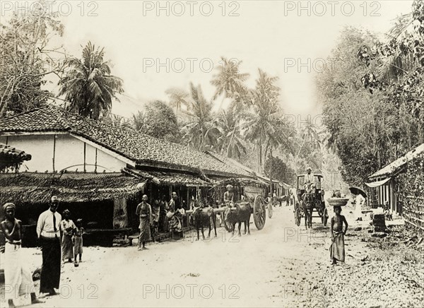 Street scene in Colombo. A busy street scene in Colombo. Colombo, Ceylon (Sri Lanka), circa 1901. Colombo, West (Sri Lanka), Sri Lanka, Southern Asia, Asia.