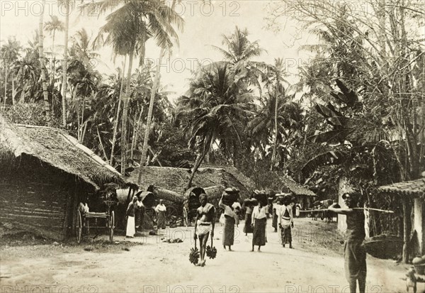 Street scene in Ceylon. Street scene in Ceylon (Sri Lanka). Several people walk to and fro along a dirt road flanked by low, thatched roof buildings. Many carry baskets containing food, perhaps on their way to a local market. Probably Colombo, Ceylon (Sri Lanka), circa 1901. Colombo, West (Sri Lanka), Sri Lanka, Southern Asia, Asia.