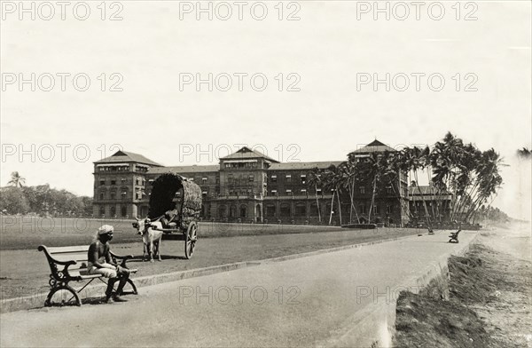 Cart driver outside the Galleface Hotel. The driver of a cattle-drawn cart sits, pensively looking out to sea, on a bench outside the Galleface Hotel. Colombo, Ceylon (Sri Lanka), circa 1901. Colombo, West (Sri Lanka), Sri Lanka, Southern Asia, Asia.