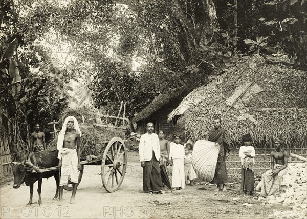 Ceylonian village road. A group of Ceylonian men and children in traditional dress stand on a village road in front of thatched houses. To the left is a driver with his bullock cart laden with fodder. Two well-dressed men, including a monk, stand in the centre. Ceylon (Sri Lanka), circa 1900. Sri Lanka, Southern Asia, Asia.