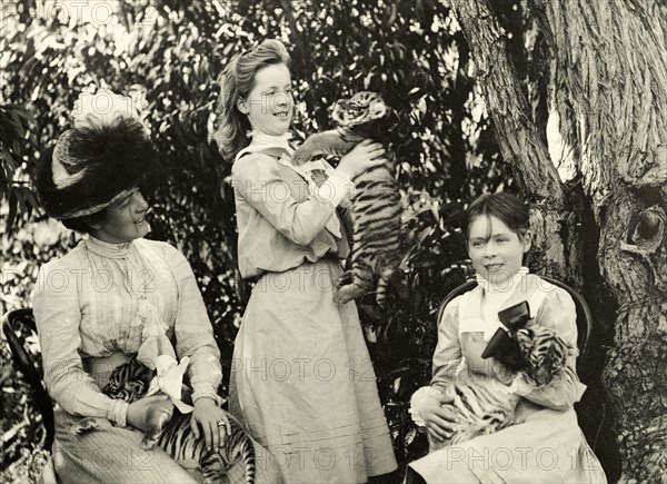 Playing with tiger cubs at Perth Zoo. Annie Lawley and her daughters, Ursula (middle) and Cecilia (right), play with tiger cubs at Perth Zoo. Perth, Australia, circa 1901. Perth, West Australia, Australia, Australia, Oceania.