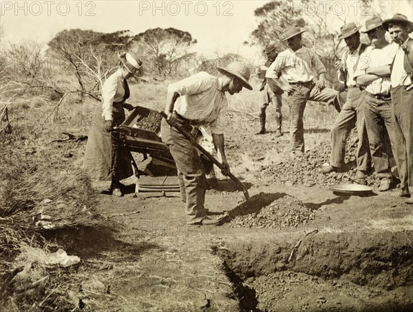 The Lawleys at Laverton gold fields. Sir Arthur Lawley, Governor of Western Australia, shovels earth onto a gold shaker operated by his wife, Lady Annie Lawley, whilst a team of miners look on. The machine was designed to sift through dirt and gravel, carrying the heavier gold to the bottom. Laverton, Australia, circa 1901. Laverton, West Australia, Australia, Australia, Oceania.