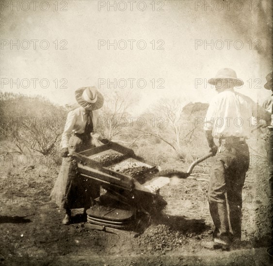 Lady Lawley operates a gold shaker. Sir Arthur Lawley, Governor of Western Australia, shovels earth onto a gold shaker operated by his wife, Lady Annie Lawley, whilst a team of miners look on. The machine was designed to sift through dirt and gravel, carrying the heavier gold to the bottom. Laverton, Australia, circa 1901. Laverton, West Australia, Australia, Australia, Oceania.