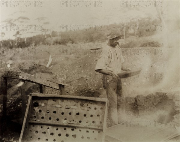 Panning for gold at Kalgoorlie. A miner concentrates as he pans for gold outside a Kalgoorlie shaft mine. A number of metal and wooden pit props are visible in the foreground. Probably Kalgoorlie, Australia, circa 1901. Kalgoorlie, West Australia, Australia, Australia, Oceania.