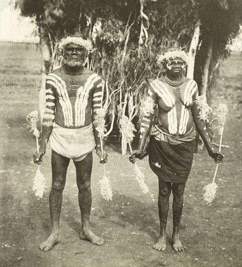 Aborigines in ceremonial costume. Portrait of two middle-aged aborigines, dressed in ceremonial costume to meet Sir Arthur Lawley and his family. Naked from the waist up, their bodies are painted with stripes and they wear crowns of twigs on their heads. Western Australia, Australia, circa 1901., West Australia, Australia, Australia, Oceania.