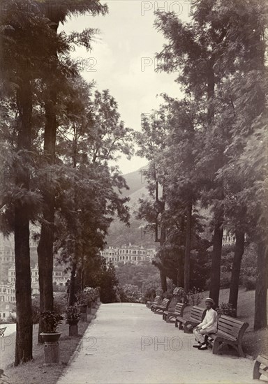 Promenade at Hong Kong's Botanical Gardens. View along a promenade lined with trees and benches in Hong Kong's Botanical Gardens. The large colonial houses of the European residential quarter are visible in the distance. Hong Kong, China, circa 1903. Hong Kong, Hong Kong, China, People's Republic of, Eastern Asia, Asia.