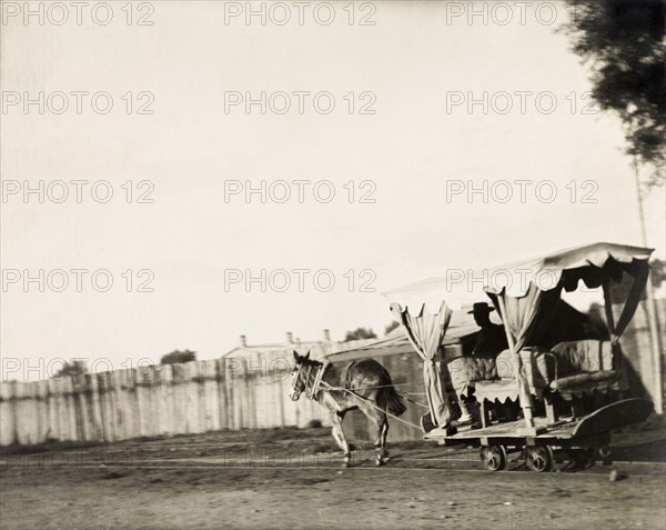 Mule trolley at Shan-hai Kwan. A mule pulls an open carriage along rails, providing transport to the beach for wealthy customers in Manchuria. The trolley is fitted with a canopy, curtains and padded household chairs. Shan Hai Kwan, Peking (Beijing), China, circa 1920., Beijing, China, People's Republic of, Eastern Asia, Asia.