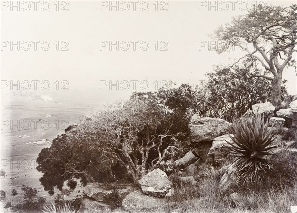 Waggon Hill, South Africa. A view of Waggon Hill, a British stronghold during the Second Boer War (1899-1902), which was taken by the Transvaal Boers on 6 January 1900 during the Seige of Ladysmith. The British held onto nearby Caesar's Camp and eventually forced the Boers to withdraw from Waggon Hill. Near Ladysmith, South Africa, circa 1903., KwaZulu Natal, South Africa, Southern Africa, Africa.