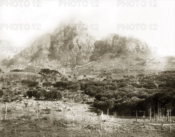 Lion's Head mountain peak. View of Lion's Head mountain peak, taken from the grounds of Groote Schuur estate. Cape Town, South Africa, circa 1898. Cape Town, West Cape, South Africa, Southern Africa, Africa.