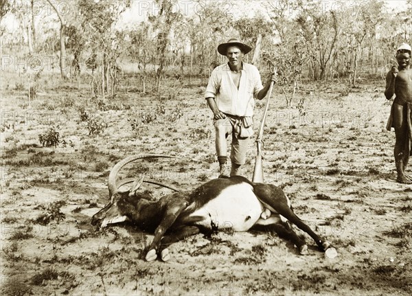 Major Richard Lawley shoots an antelope. Major Richard Lawley (1856-1918), brother of Captain Arthur Lawley (1860-1932), poses with his foot resting on the carcass of a Sable Antelope (Hippotragus niger), shot during a hunting expedition. Rhodesia (Hwange, Zimbabwe), circa 1898. Zimbabwe, Southern Africa, Africa.