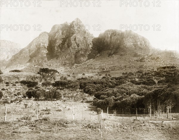 Lion's Head mountain peak. View of Lion's Head mountain peak, taken from the grounds of Groote Schuur estate. Cape Town, South Africa, circa 1898. Cape Town, West Cape, South Africa, Southern Africa, Africa.