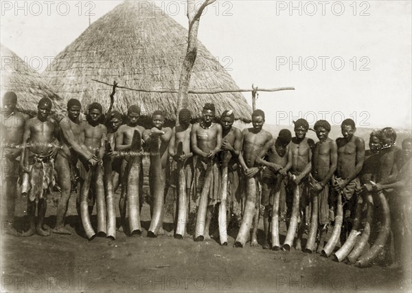 Ivory haul from Katanga. A line of African men pose for the camera, each holding a large elephant tusk. An original caption comments that the ivory came from Katanga in the Belgian Congo. Probably Rhodesia (Zimbabwe), circa 1897. Zimbabwe, Southern Africa, Africa.
