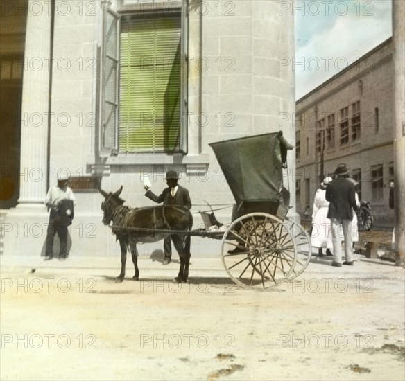 A buggy and mule, Barbados. A buggy pulled by a mule stands outside a large colonial building in the centre of town. Probably Bridgetown, Barbados, circa 1910. Bridgetown, St Michael, Barbados, Caribbean, North America .