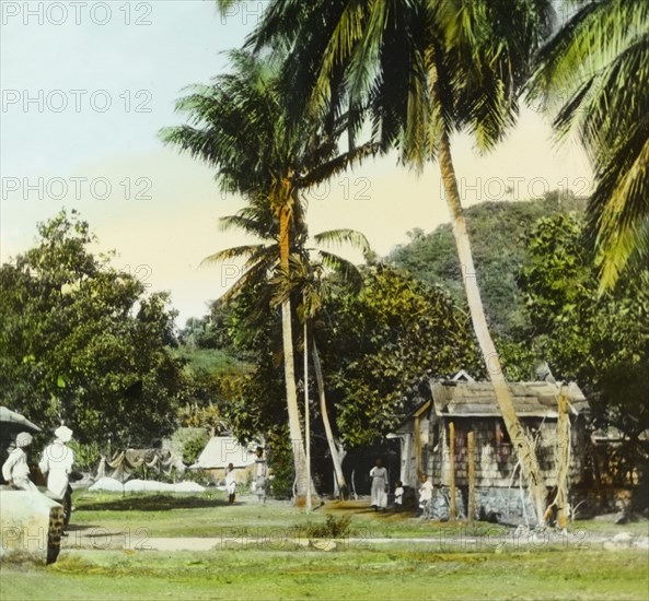 A fishing village in St Vincent. A fishing village near the coast. St Vincent, circa 1910. St Vincent and the Grenadines, Caribbean, North America .