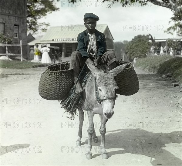 Child's labour in Jamaica, 1910