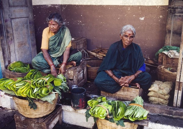 Selling betel leaves at an Indian market. A pair of elderly women sit cross-legged on two wooden fruit boxes, selling bundles of betel leaves from baskets at an outdoor market. Mysore, Karnataka, India, circa 1985. Mysore, Karnataka, India, Southern Asia, Asia.