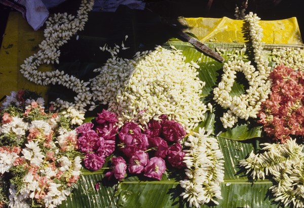 Garlands at an Indian flower market. Colourful flowers are strung into patterned garlands at a flower market in Madurai. Madurai, Tamil Nadu, India. Madurai, Tamil Nadu, India, Southern Asia, Asia.