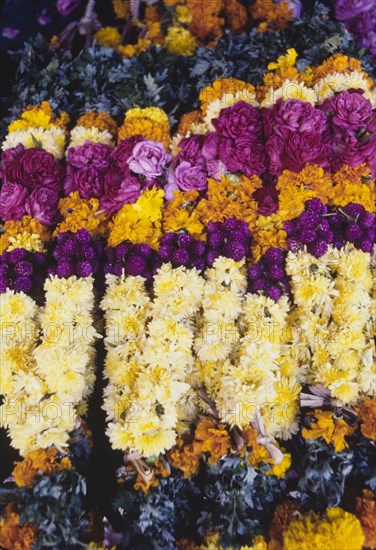 Garlands at an Indian flower market. Colourful flowers are strung into patterned garlands at a flower market in Madurai. Madurai, Tamil Nadu, India. Madurai, Tamil Nadu, India, Southern Asia, Asia.
