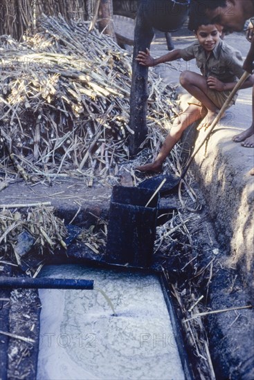 Collecting raw sugar cane juice, India. A young boy watches as raw sugar cane juice runs from a pipe into a trough, ready to be reduced into syrup. Used, cut sugar canes lie on the ground in a heap behind him. Goa, India, circa 1985., Goa, India, Southern Asia, Asia.