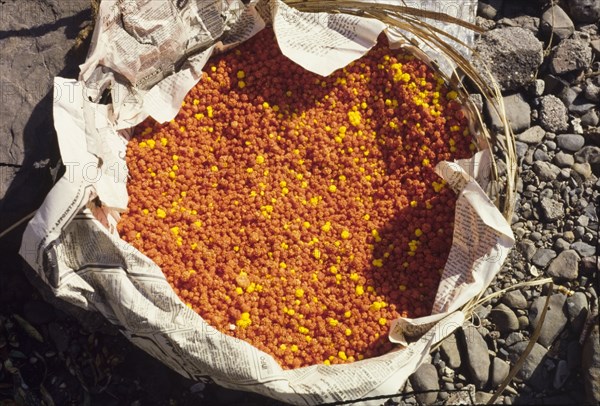 A basket of savoury puffed rice. A basket of savoury puffed rice, on display at an outdoor market in Bombay. Often eaten in a mix with other snack foods such as nuts, the rice is often coated with masala (a blend of spices) or chilli powder to enhance its colour and taste. Bombay (Mumbai), India. Mumbai, Maharashtra, India, Southern Asia, Asia.