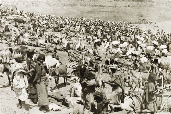 Camel market in Eritrea. A throng of people crowd a camel market in Eritrea. Eritrea, 1943. Eritrea, Eastern Africa, Africa.