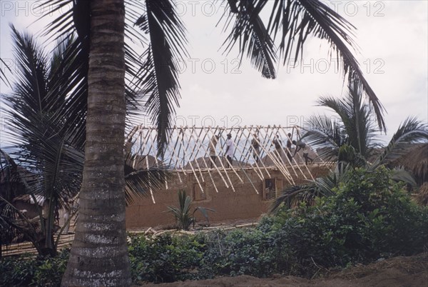 Roofing a 'swish hut'. Construction workers use lengths of bamboo to build the pitched roof of a 'swish hut'. Central Region, Ghana, circa 1958. Cape Coast, Central (Ghana), Ghana, Western Africa, Africa.
