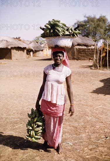 Banana seller in Pong-Tamale. Portrait of a female banana seller in Pong-Tamale. She balances a large bowl of bananas on her head and carries another bunch in her right hand. Pong-Tamale, Ghana, circa 1961. Pong-Tamale, North (Ghana), Ghana, Western Africa, Africa.