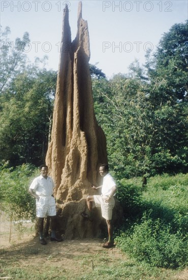 A giant termite hill in Ghana. Two Ghanaian men pose beside a giant termite hill. Volta Region, Ghana, circa 1960., Volta, Ghana, Western Africa, Africa.