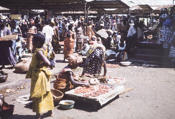 Kola nut stall at Abidjan market. Women arrange a display of kola nuts at a bustling market in Abidjan. Abidjan, Cote d'Ivoire, circa 1960. Abidjan, Lagunes, Cote d'Ivoire, Western Africa, Africa.