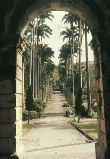 Codrington College, Barbados. View through an archway along an avenue of palms leading to Codrington College. St John, Barbados, circa 1975., St John (Barbados)
John, Barbados, Caribbean, North America .