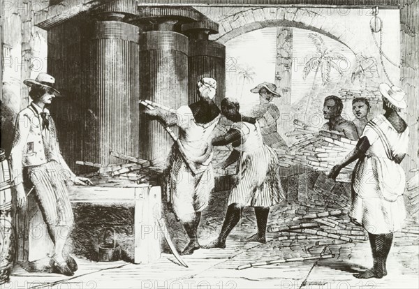 Slave labourers at a Jamaican sugar mill. An illustration depicts a group of African slaves carrying armfuls of sugar cane under the direction of a European overseer. Jamaica, circa 1800. Jamaica, Caribbean, North America .