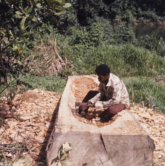 Carving out a canoe. A carpenter sits on top of a large piece of timber that he is carving out to make a canoe. Belize, circa 1975. Belize, Central America, North America .