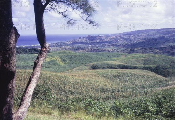 View from Farley Hill, Barbados. View from Farley Hill, looking east over the hilly landscape of Barbados towards the Atlantic Ocean. St Peter, Barbados, circa 1975., St Peter (Barbados), Barbados, Caribbean, North America .