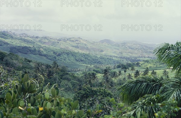 The highlands and forests of Barbados. View across some of the highlands and forests of Barbados, featuring gentle slopes and lush vegetation. Barbados, circa 1975. Barbados, Caribbean, North America .