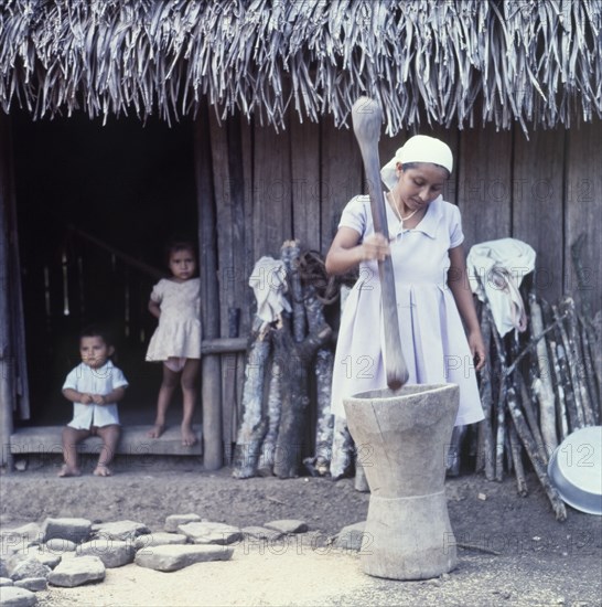 Grinding rice, Belize. A Ketchi woman grinds rice inside a large pestle and mortar, watched by two small children who loiter in the doorway of a thatched hut behind her. Belize, circa 1975. Belize, Central America, North America .