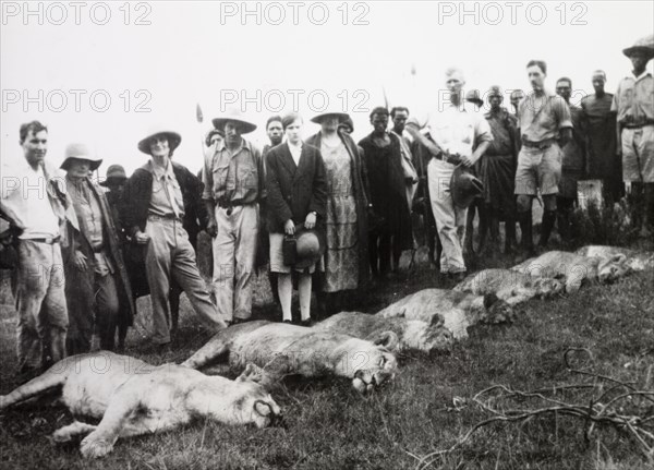 The result of a lion cull. Several European farmers stand over the carcasses of six lions, which were culled to protect their livestock. Central Region, Kenya, circa 1930., Central (Kenya), Kenya, Eastern Africa, Africa.