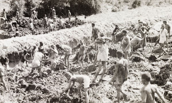 Kakamega goldfields. Labourers dig up earth for panning on the goldfields of Kakamega. Kakamega, Kenya, 1933. Kakamega, West (Kenya), Kenya, Eastern Africa, Africa.