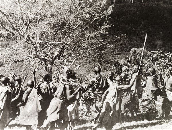 Kikuyu ritual circumcision dance. Kikuyu women perform a ceremonial dance around a fig tree during an annual circumcision ritual marking the initiation of children into adulthood. South Nyeri, Kenya, 1936. Nyeri, Central (Kenya), Kenya, Eastern Africa, Africa.