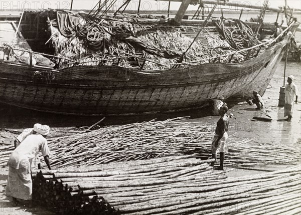 The exportation of mangrove poles. Men load mangrove poles onto a dhow, ready for exportation to the Persian Gulf. An original caption comments that the dhow will depart when the "right monsoon blows - a trad(ition) which (has) scarcely changed for at least 8,000 years". Lamu, Kenya, 1947. Lamu, Coast, Kenya, Eastern Africa, Africa.