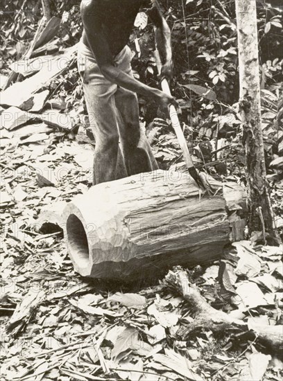 Shaping the shell of an atumpan drum. A craftsman uses an axe to roughly shape a section of timber into the shell of an atumpan drum. Ghana, circa 1965. Ghana, Western Africa, Africa.