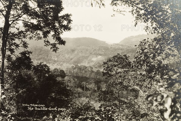 Saddleback Pass. View of the Saddleback Pass, located from the forested slopes of the Northern Range. Trinidad, circa 1935. Trinidad and Tobago, Caribbean, North America .