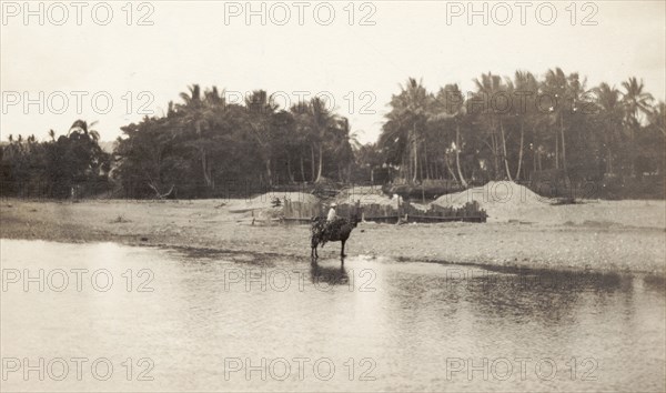 Crossing the Ozama River. A traveller on horseback crosses the Ozama River. Santo Domingo, Dominican Republic, circa 1913. Santo Domingo, Santo Domingo, Dominican Republic, Caribbean, North America .