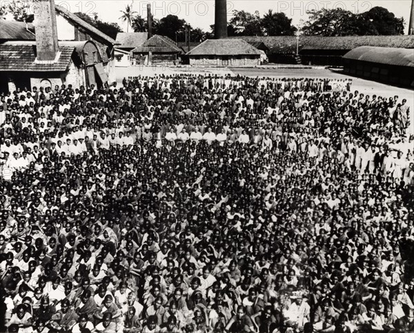 Steel Brothers' workforce. A huge group photograph of the largely Indian workforce at Steel Brothers & Co. Ltd., the majority of whom appear to be women and children. A small group of British directors are just visible, seated at the centre of the crowd. Probably India, circa 1935. India, Southern Asia, Asia.