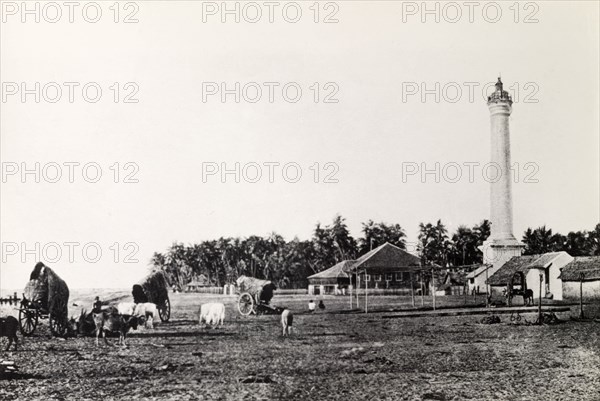 A rural landscape in Burma (Myanmar). A tall pillar-like structure, possibly a lighthouse, punctuates the skyline of a rural landscape. Oxen from three cattle-drawn carts have been un-tethered to graze freely. Probably Burma (Myanmar), circa 1910. Burma (Myanmar), South East Asia, Asia.