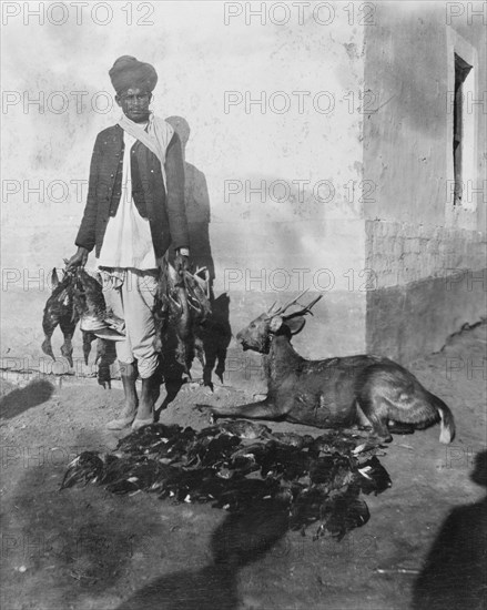 A 'shikari' displays the day's catch. An Indian 'shikari' (professional hunter) displays the results of a day's hunt including a number of ducks and a small antelope. Sujawal, Sind, India (Sindh, Pakistan), December 1910. Sujawal, Sindh, Pakistan, Southern Asia, Asia.